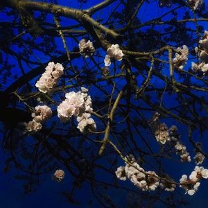 ⭐黄⭐色⭐视⭐频⭐
