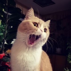 ⭐黄⭐色⭐视⭐频⭐
